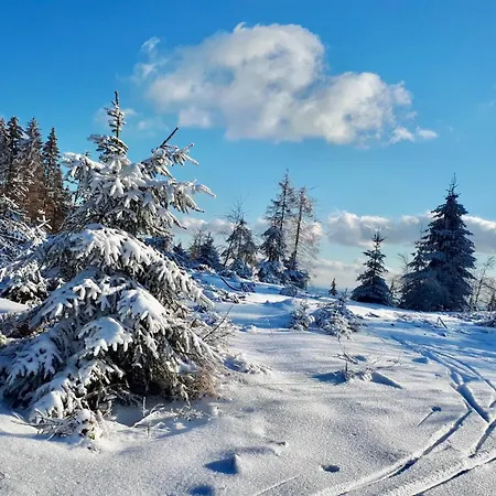Uebernachten Im Cafe Restaurant Vedder 3*