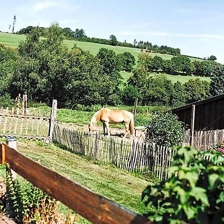Uebernachten Im Cafe Restaurant Vedder 3* Herscheid