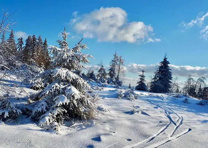 Uebernachten Im Cafe Restaurant Vedder 3*